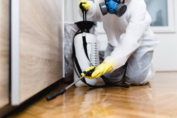 Best Pest Removal Services  in Whitewright, TX