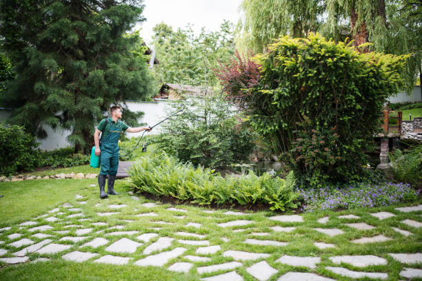 Best Ant Control Services  in Whitewright, TX