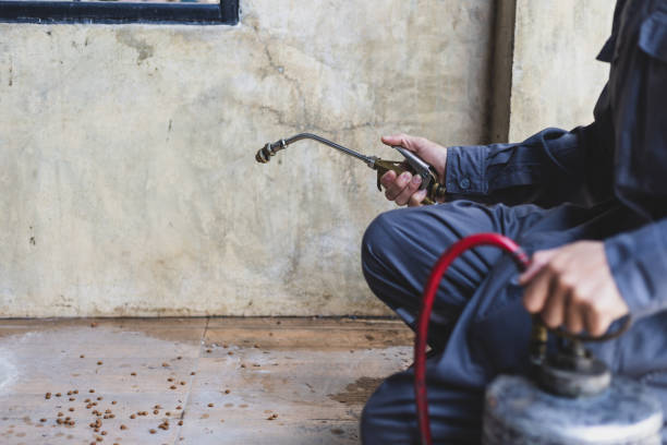 Best Affordable Pest Control Services  in Whitewright, TX